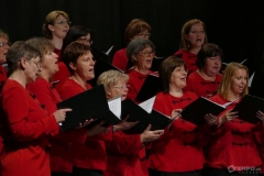 Kodaly napok Galanta 2017 12_2