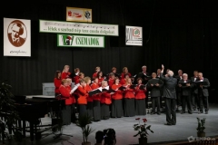 Kodaly napok Galanta 2017 13_2