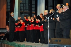 Ogyalla 2013 16_2